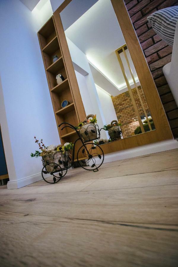 Briana Luxury Studio Cluj-Napoca Exterior photo